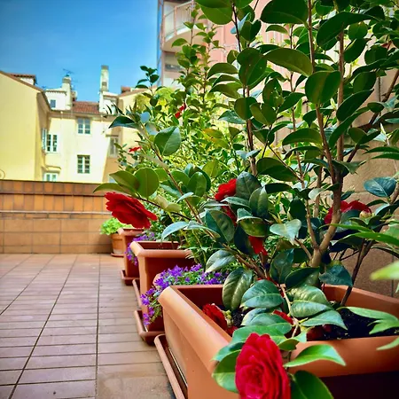 Casa Camelie Trieste